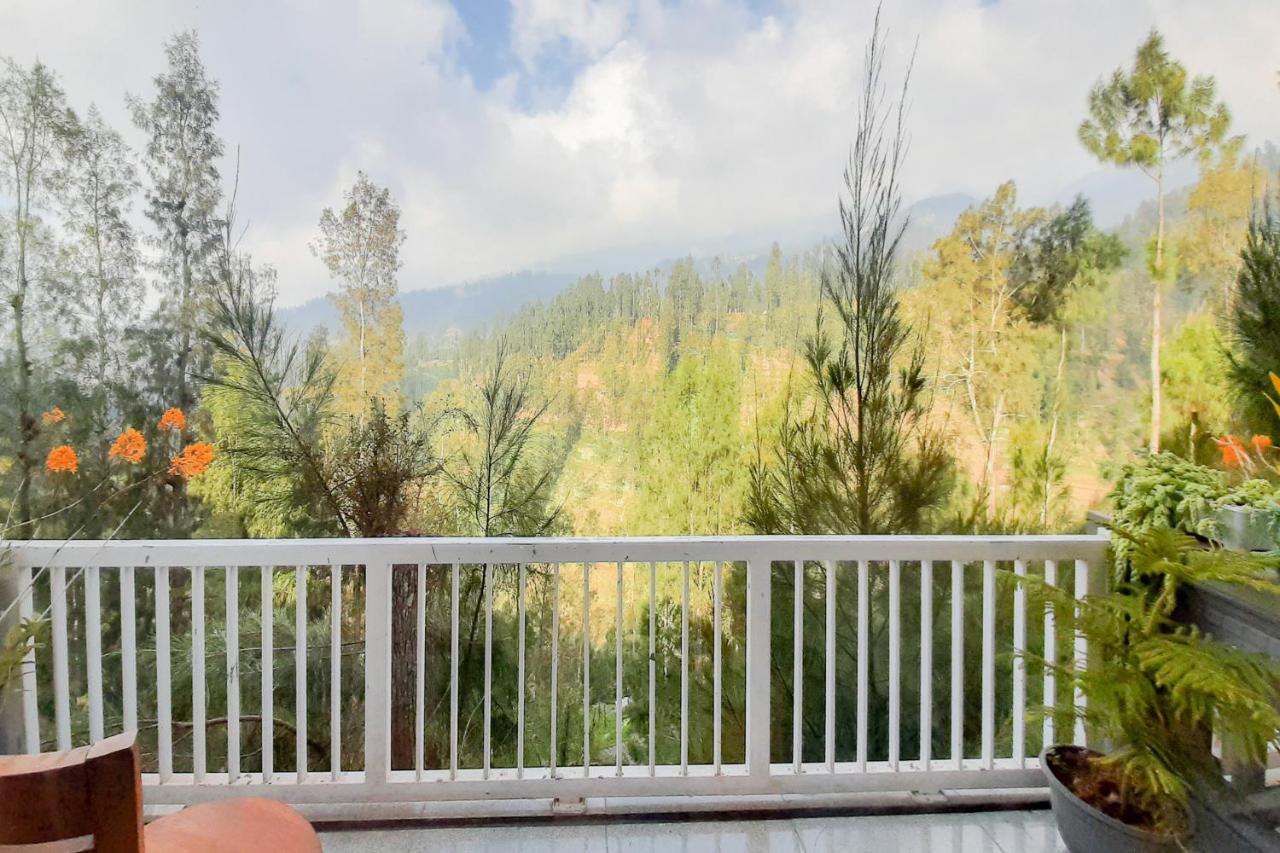 Delvia Bromo Homestay Mitra Reddoorz 파수루안 외부 사진
